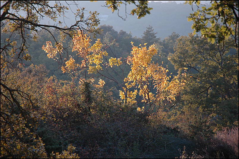 Automn light, Buoux, Provence